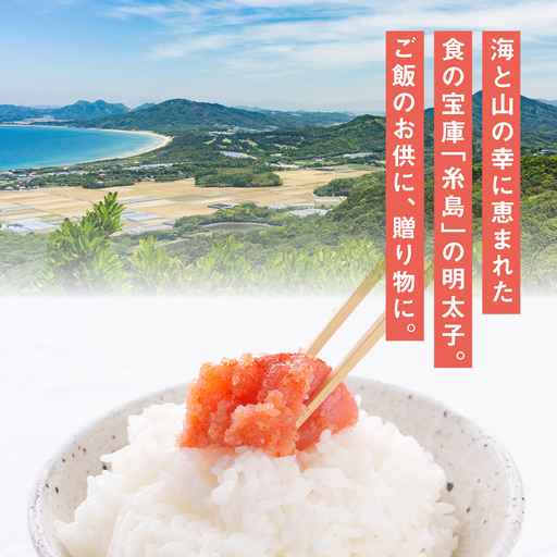 糸島の酒と醤油の辛子明太子 特切450g 糸島 やますえ Aka044 辛子 明太子 明太 博多 お土産 おつまみ ご飯のお供 海鮮 特産品 福岡県糸島市 ふるさと納税サイト ふるなび