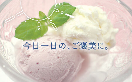 【全12回定期便】伊都物語 プレミアム アイス 10個 ( 5種 × 2個 ) セット ( みるく / ヨーグルト / あまおう / 抹茶 / チョコレート )《糸島》【糸島みるくぷらんと】 [AFB026]