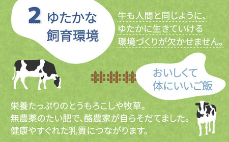 【全12回定期便】伊都物語 プレミアム アイス 10個 ( 5種 × 2個 ) セット ( みるく / ヨーグルト / あまおう / 抹茶 / チョコレート )《糸島》【糸島みるくぷらんと】 [AFB026]