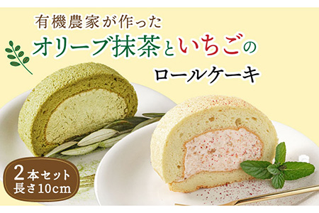 【父の日ギフト対象】オリーブリーフの抹茶＆つぶつぶ糸島いちご ロールケーキ2本セット《糸島》【わかまつ農園】[AHB014] ギフト 焼き菓子 送料無料 お菓子 お取り寄せ スイーツ ケーキオリーブ ケーキ抹茶 ケーキいちごロール ケーキロール ケーキつぶつぶいちご ケーキ苺 ケーキふわふわ ケーキプレゼント ケーキアルミニウムフリー ケーキ無添加 ケーキ記念日 ケーキ内祝い ケーキ送料無料 ケーキお菓子 ケーキスイーツ 父の日 父の日プレゼント 父の日ギフト