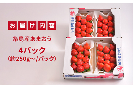 【先行予約】糸島産【冬】 あまおう 4パック 【2024年12月上旬以降順次発送】《糸島》【南国フルーツ株式会社】 [AIK006] あまおう苺いちごフルーツ あまおう苺いちごフルーツ あまおう苺いちごフルーツ あまおう苺いちごフルーツ