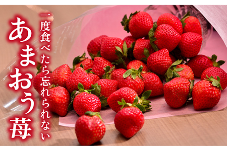 【先行予約】糸島産【冬】 あまおう 2パック 【2024年12月上旬以降順次発送】 《糸島》【南国フルーツ株式会社】 [AIK007] あまおう苺いちごフルーツ あまおう苺いちごフルーツ あまおう苺いちごフルーツ