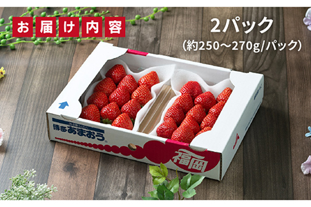 【先行予約】糸島産【冬】 あまおう 2パック 【2024年12月上旬以降順次発送】 《糸島》【南国フルーツ株式会社】 [AIK007] あまおう苺いちごフルーツ あまおう苺いちごフルーツ あまおう苺いちごフルーツ