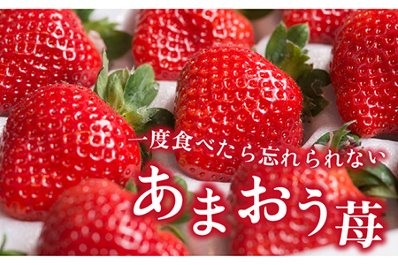 【先行予約】糸島産 あまおう ギフト 箱 (24-30粒) 【2024年12月上旬以降順次発送】 《糸島》【南国フルーツ株式会社】 [AIK011] あまおう苺いちごフルーツ あまおう苺いちごフルーツ あまおう苺いちごフルーツ