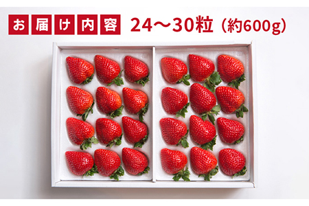 【先行予約】糸島産 あまおう ギフト 箱 (24-30粒) 【2024年12月上旬以降順次発送】 《糸島》【南国フルーツ株式会社】 [AIK011] あまおう苺いちごフルーツ あまおう苺いちごフルーツ あまおう苺いちごフルーツ