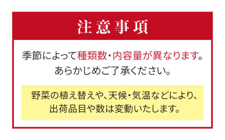 【 全3回 定期便 】 福岡県 糸島産 旬 の 野菜 盛り合わせ セット 《糸島》【株式会社フロンティア・アドバンス】[AWC007]