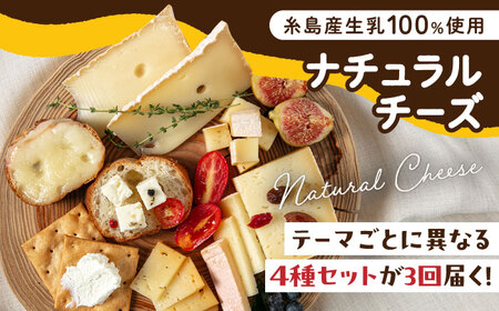 【全3回 お楽しみ 定期便】糸島産 生乳 100％ 使用 手作り チーズ 毎月 4種 糸島市 / 糸島ナチュラルチーズ製造所TAK-タック- [AYC010]