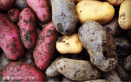 【 栽培期間中農薬 ・ 化学肥料 不使用 】 温野菜＆生食野菜セット （ 6品前後 ） 《糸島》【オーガニックナガミツファーム】 	[AGE015]