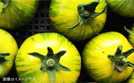 【 全3回 定期便 】【 農薬・化学肥料 不使用 】こだわり 高級希少野菜 セット （ 7品前後 ） 《糸島》【オーガニックナガミツファーム】 	[AGE016]
