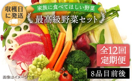 全12回定期便】【栽培期間中農薬・化学肥料不使用】こだわり 野菜