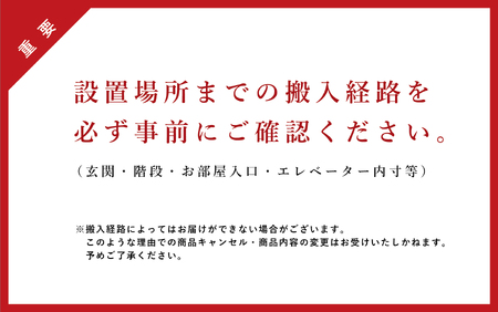 【Ritzwell】LIGHT FIELD  SOFA  CHAISE LONGUE ソファーベッド 家具 [AYG030]