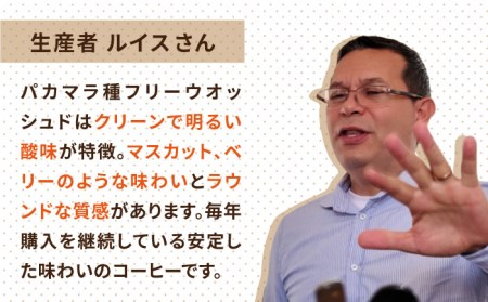 中煎り コーヒー 豆 250g × 2袋 （ 豆 ・ 粉 選べます ） ニカラグア産 ラベンディション農園 パカマラ種 フリーウォッシュド 《糸島》 【COFFEE UNIDOS】 [AQF002]