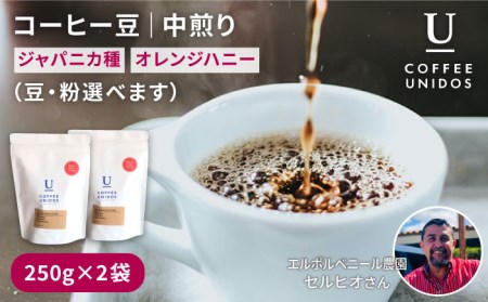 中煎り コーヒー 豆 250g × 2袋 （豆 ・ 粉 選べます） ニカラグア産 エルポルベニール農園 ジャバニカ種 オレンジハニー 《糸島》 【COFFEE UNIDOS】 [AQF005]