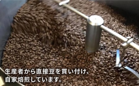 中煎り コーヒー 豆 250g × 2袋 （豆 ・ 粉 選べます） ニカラグア産 エルポルベニール農園 ジャバニカ種 オレンジハニー 《糸島》 【COFFEE UNIDOS】 [AQF005]