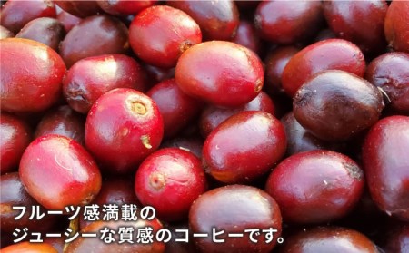 中煎り コーヒー 豆 250g × 2袋 （ 豆 ・ 粉 選べます ） ニカラグア産 ラベンディション農園 パカマラ種 ナチュラル 《糸島》  【COFFEE UNIDOS】 [AQF001] コーヒーコーヒーコーヒーコーヒーコーヒーコーヒーコーヒーコーヒー | 福岡県糸島市 |  ふるさと納税サイト「ふる ...