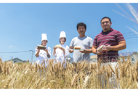 【つまんでご 卵】糸島 ロールケーキ & マカロン 5個 詰め合わせ セット《糸島》【緑の農園】卵 たまご 菓子 焼き菓子 ケーキ [AGA003]