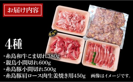 牛肉 豚肉 鶏肉 日常使いの精肉セット 1,930g 4～5人前 4種《糸島》【糸島ミートデリ工房】 [ACA196] 牛肉豚肉鶏肉セット 牛肉豚肉鶏肉セット 牛肉豚肉鶏肉セット