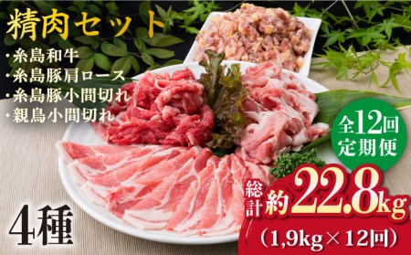 【全12回定期便】牛肉 豚肉 鶏肉 日常使いの精肉セット 1,930g 4～5人前 4種《糸島》【糸島ミートデリ工房】 [ACA199] 牛肉豚肉鶏肉セット定期便 牛肉豚肉鶏肉セット定期便 牛肉豚肉鶏肉セット定期便