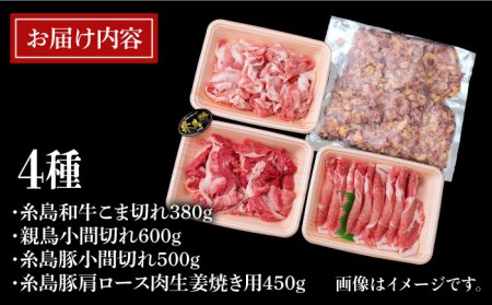 【全12回定期便】牛肉 豚肉 鶏肉 日常使いの精肉セット 1,930g 4～5人前 4種《糸島》【糸島ミートデリ工房】 [ACA199] 牛肉豚肉鶏肉セット定期便 牛肉豚肉鶏肉セット定期便 牛肉豚肉鶏肉セット定期便