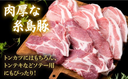 【合計11枚】とんかつ用セット 糸島豚ロース肉 約100g×6枚 / 肩ロース 約120g×5枚 豚肉 《糸島》【糸島ミートデリ工房】 [ACA228] 豚肉とんかつトンカツロースカツ 豚肉とんかつトンカツロースカツ 豚肉とんかつトンカツロースカツ 豚肉とんかつトンカツロースカツ