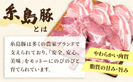 【合計11枚】とんかつ用セット 糸島豚ロース肉 約100g×6枚 / 肩ロース 約120g×5枚 豚肉 《糸島》【糸島ミートデリ工房】 [ACA228] 豚肉とんかつトンカツロースカツ 豚肉とんかつトンカツロースカツ 豚肉とんかつトンカツロースカツ 豚肉とんかつトンカツロースカツ