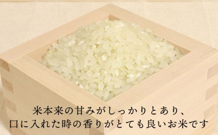 【令和6年産】糸島産 夢つくし 10kg 糸島市 / 糸島王丸農園 (谷口汰一) /いとしまごころ [AAZ005] 米 白米 精米 米 白米 精米 米 白米 精米 米 白米 精米