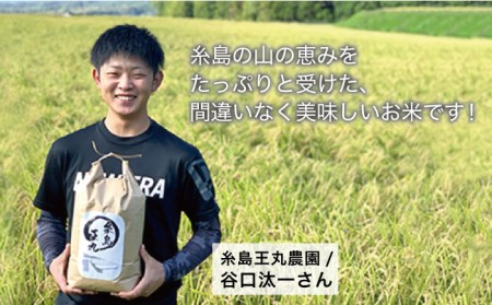 【令和6年産】糸島産 夢つくし 10kg 糸島市 / 糸島王丸農園 (谷口汰一) /いとしまごころ [AAZ005] 米 白米 精米 米 白米 精米 米 白米 精米 米 白米 精米