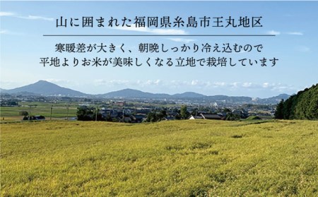 【令和6年産】糸島産 夢つくし 10kg 糸島市 / 糸島王丸農園 (谷口汰一) /いとしまごころ [AAZ005] 米 白米 精米 米 白米 精米 米 白米 精米 米 白米 精米