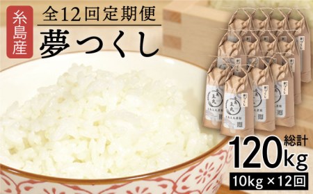 【全12回定期便】 糸島産 夢つくし 10kg × 12回（月1回）糸島市 / 糸島王丸農園 (谷口汰一)【いとしまごころ】[AAZ008] 米 白米 精米 米 白米 精米 米 白米 精米