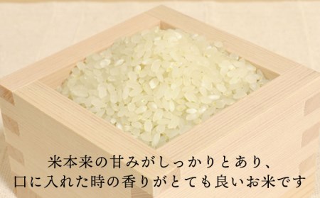 【全12回定期便】 糸島産 夢つくし 10kg × 12回（月1回）糸島市 / 糸島王丸農園 (谷口汰一)【いとしまごころ】[AAZ008] 米 白米 精米 米 白米 精米 米 白米 精米