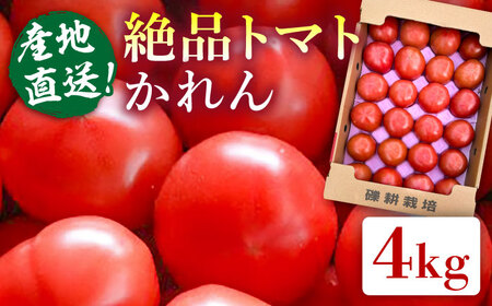 糸島産 絶品トマト かれん (4kg28玉前後) 糸島市 / シーブ [AHC019] 糸島 野菜 やさい トマト とまと トマト トマトとまと トマト野菜 トマトやさい