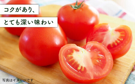 【産地直送！】糸島産 絶品 トマト かれん ( 4kg 28玉 前後 )  糸島市 / シーブ [AHC019] 大玉トマト 野菜