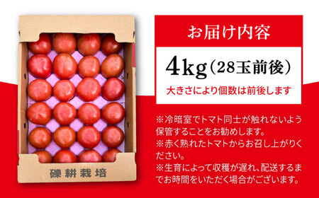 【産地直送！】糸島産 絶品 トマト かれん ( 4kg 28玉 前後 )  糸島市 / シーブ [AHC019] 大玉トマト 野菜