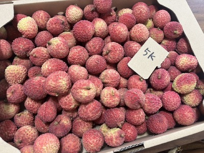 沖縄県産 Fresh 生ライチ2kg +100g(おまけ) 生 ライチ 玉荷包 生ライチ 国産ライチ 200g 国産 沖縄産 – 沖縄