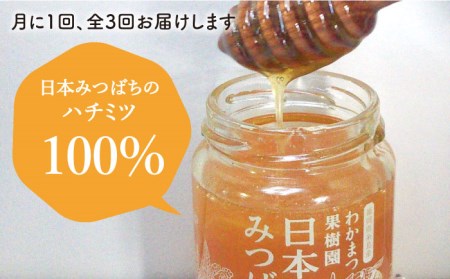 全3回定期便】わかまつ 果樹園 の 日本 蜜蜂 の はちみつ 2コ セット