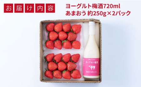 【先行予約】【春】ヨーグルト梅酒720ml ×あまおう 約250g×2パック  【2026年2月上旬以降順次発送】 糸島市 / 南国フルーツ株式会社 [AIK013]