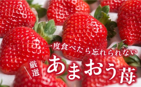 【先行予約】【春】ヨーグルトあまおう720ml ×あまおう 約250g×2パック 【2025年2月上旬以降順次発送】 糸島市 / 南国フルーツ株式会社 [AIK015] あまおう いちご フルーツ あまおう いちご フルーツ