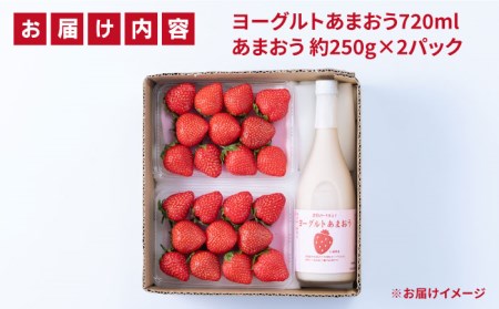 【先行予約】【春】ヨーグルトあまおう720ml ×あまおう 約250g×2パック 【2025年2月上旬以降順次発送】 糸島市 / 南国フルーツ株式会社 [AIK015] あまおう いちご フルーツ あまおう いちご フルーツ