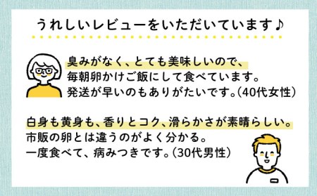 《月2回 × 20個 6ヶ月コース》 卵 てつやとのりこの玉子 全12回定期便 糸島市 / 板垣ファーム[AWD013] 卵 卵たまご 卵玉子 鶏卵 卵かけご飯 卵便利 卵定期便 卵定期購入 卵人気