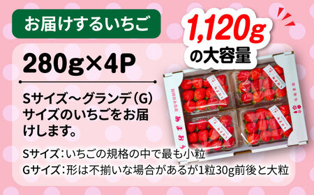 【先行予約】【農家直送！】 糸島産 あまおう 280g × 4パック (Sサイズ-Gサイズ) 【2025年1月下旬より順次発送】糸島市 / 後藤農園 [AML003] いちご 福岡 ランキング 上位 人気 おすすめ いちごいちごいちごいちごいちごいちごいちごいちご