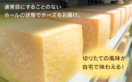 【糸島産生乳100％使用の手作りチーズ】コハク熟成 1ホール 糸島市 / 糸島ナチュラルチーズ製造所TAK-タック-[AYC011] チーズ 生乳 チーズ ナチュラルチーズ チーズセット チーズ詰め合わせ チーズ詰合せ チーズギフト チーズ贈答用 チーズおつまみ チーズおつまみ チーズワイン チーズ食べ比べ チーズ乳製品 チーズ贈り物 手作りチーズ 生乳チーズ チーズおすすめ スライスチーズ ハードチーズ 熟成チーズ チーズ人気 チーズ チーズおつまみ チーズ乳製品 チーズギフト チーズ贈答 チーズ贈り物 チーズ手づくり チーズ生乳 チーズプレゼント チーズホール チーズ熟成 チーズ国産