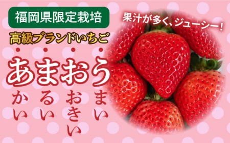 【先行予約】【農家直送！】糸島産あまおう 280g×2パック (DXまたはGサイズ)   【2024年12月以降順次発送】糸島市 / 後藤農園 [AML001] いちご 福岡