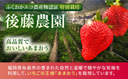 【先行予約】【農家直送！】糸島産あまおう 280g×2パック (DXまたはGサイズ)   【2024年12月以降順次発送】糸島市 / 後藤農園 [AML001] いちご 福岡