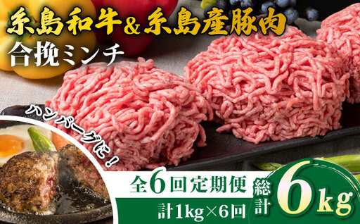 【全6回定期便】糸島和牛 糸島豚 合挽ミンチ 500g×2p×6回 計6kg 糸島ミートデリ工房 [ACA258]