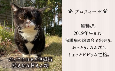 【 SNSで人気の猫 / 糸島観光大使】【 もんた 】キャンバス トートバッグ  糸島市 / Basismall  猫 ネコ 観光大使 [AXL003]