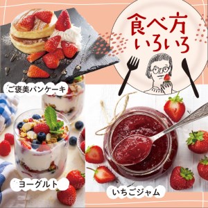 あまおう いちご 1,080g (約 270g × 4パック) 【先行予約・2025 あまおう いちご 1,080g (約 270g × 4パック) 【先行予約・2025