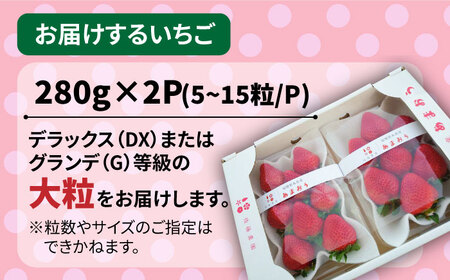 【先行予約】【農家直送！】糸島産 春 あまおう 280g × 2パック  (DXまたはGサイズ) 【2026年2月上旬以降順次発送】  糸島市 / 後藤農園 [AML004] いちご 福岡
