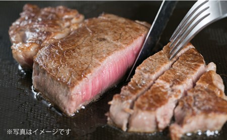【全6回定期便】 【極厚 シャトーブリアン】 約 150g×2枚 A4 ランク 博多和牛 ヒレ 肉 極厚 シャトーブリアン 糸島市/糸島ミートデリ工房 [ACA134]