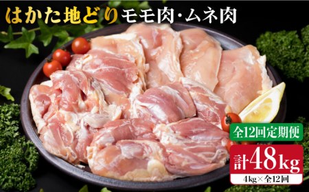 【全12回定期便】はかた地どり もも肉 2kg / むね肉 2kg 合計4kg セット 糸島 / 糸島市 / 糸島ミートデリ工房[ACA159] 鶏肉博多 鶏肉鳥 鶏肉もも 鶏肉むね 鶏肉モモ 鶏肉ムネ 鶏肉焼肉 鶏肉焼き肉 鶏肉BBQ 鶏肉小分け 鶏肉国産 鶏肉キャンプ 鶏肉#オススメ商品