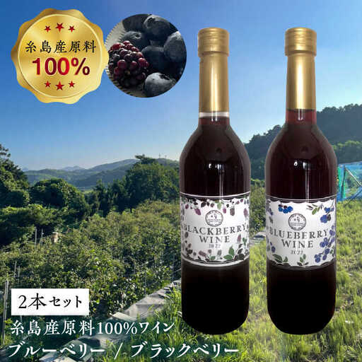 糸島産 ブルーベリー ＆ ブラックベリー ワイン 720ml×2種 セット 糸島市 / HYM FARM [AHM001]